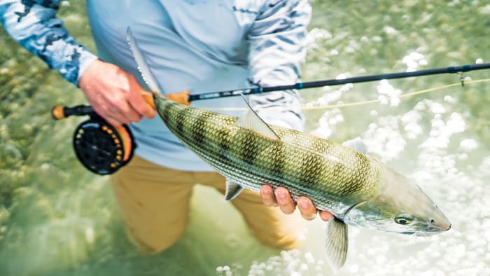 Best Saltwater Fly Fishing Gear To Reel In Tough Fish Men S Journal