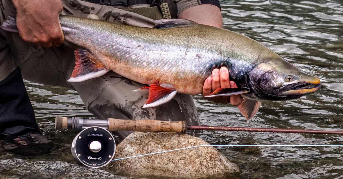 Buying the Right Fly Rod can be Easy if you Have the Right Information -  Men's Journal