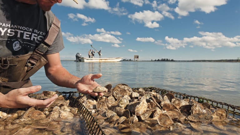 Home, Shore Gourmet Market, Chesapeake Culinary Arts Center