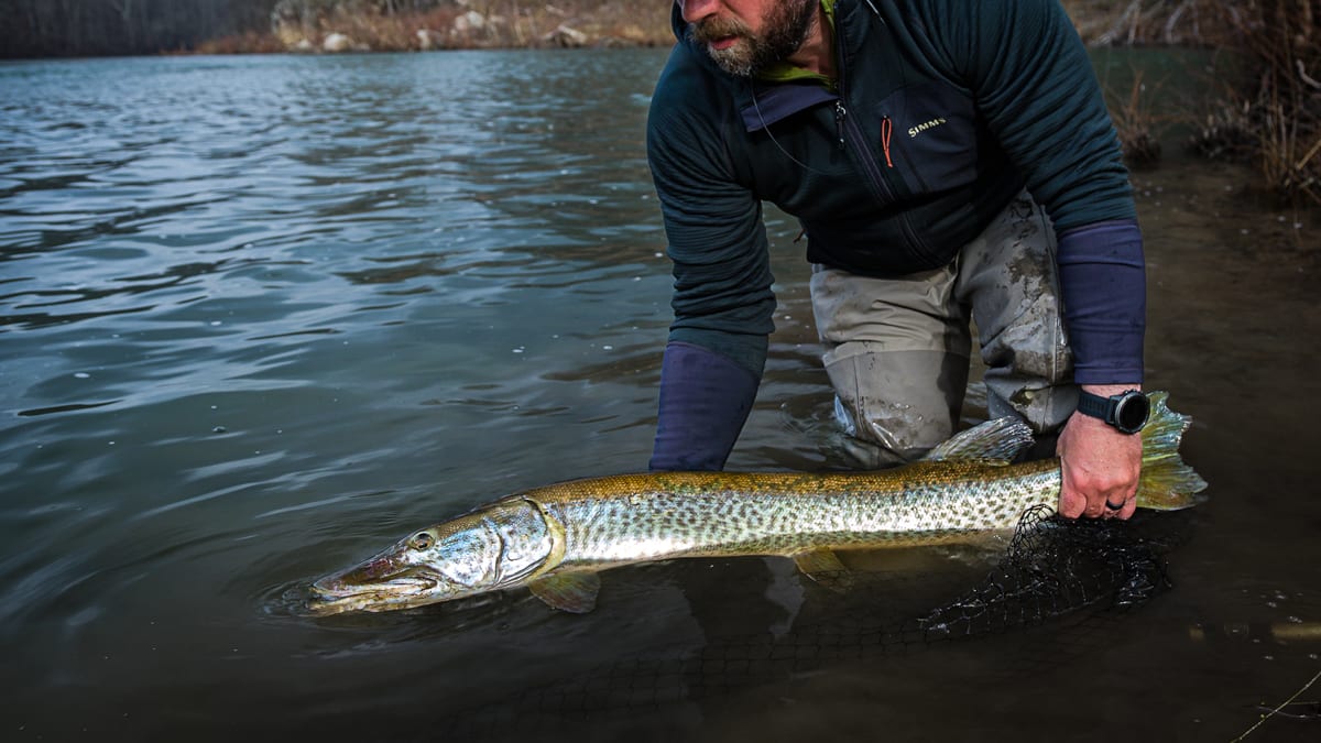 A Fly Fishing Life Chasing Muskie, Smallmouth Bass, and Trout - Men's  Journal