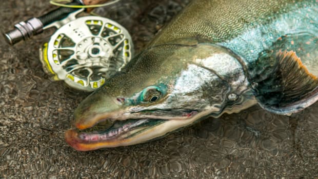Fly Fishing Gear: A Simple Tool That Pays Big on Convenience. - Men's  Journal