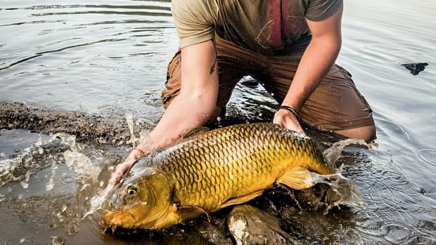 DIY Fly Fishing for Carp: It's Popularity has Grown for a Reason - Men's  Journal