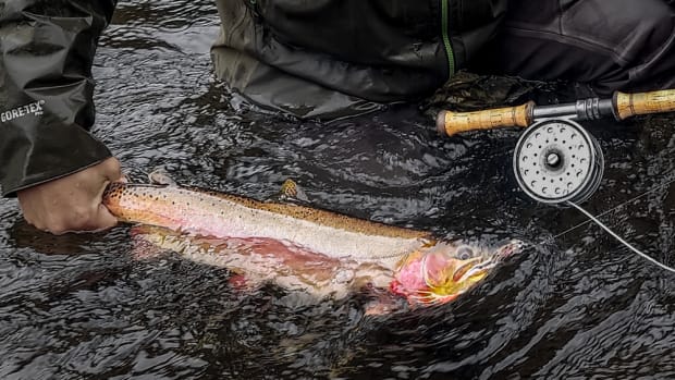 Fly Fishing the Classic Salmon Fly for Trout-This Pattern May Surprise You  - Men's Journal