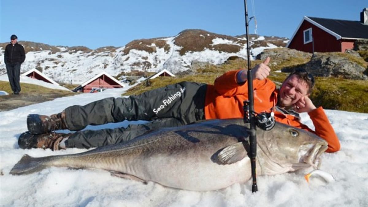 Huge, world-record cod taken by German fisherman - Men's Journal