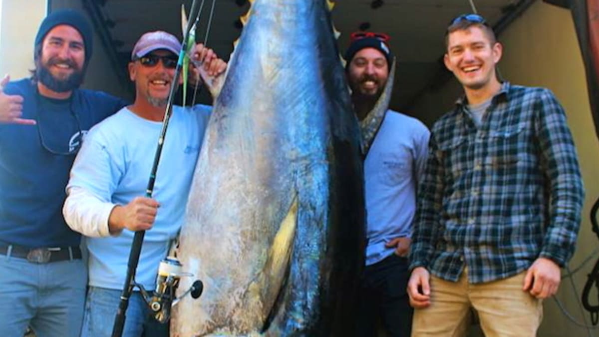 Huge Bluefin Tuna on Spinning Gear with Reel Deal Charter Capt