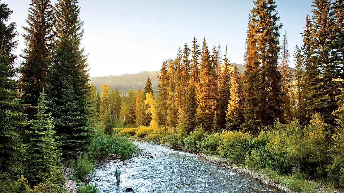 The Absolute Beginner's Guide to Fly Fishing