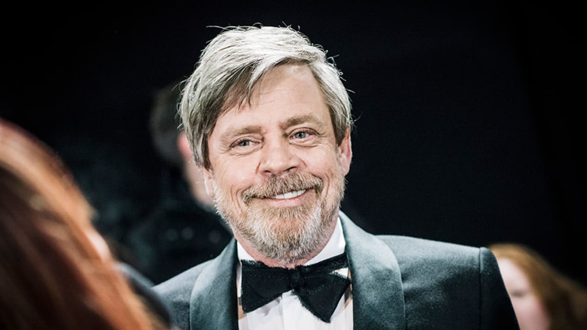 Fans Are Losing It Over Dorky Teenage Mark Hamill - Inside the Magic