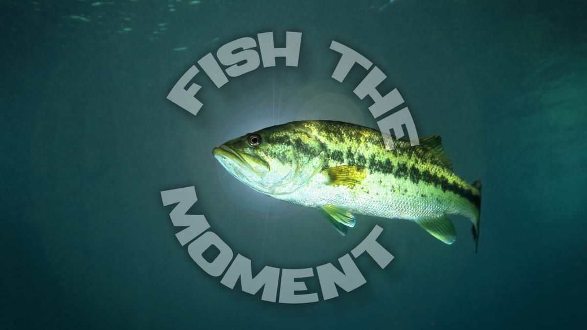 Fish the Moment For Bass Tournament Success - Men's Journal