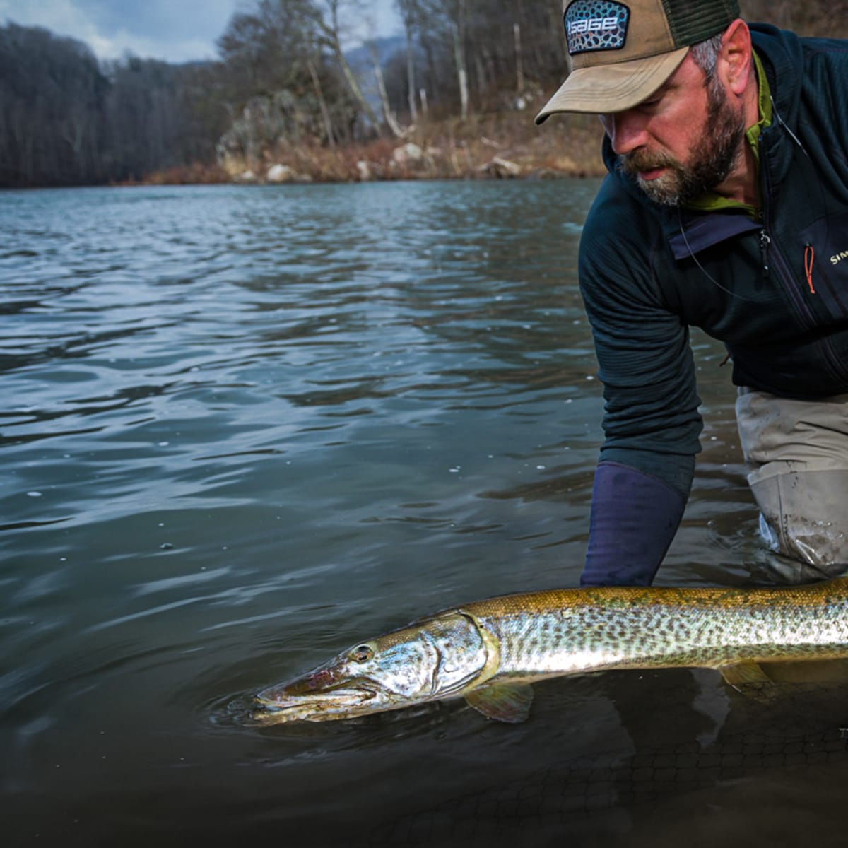 Guided Fly Fishing for Muskies