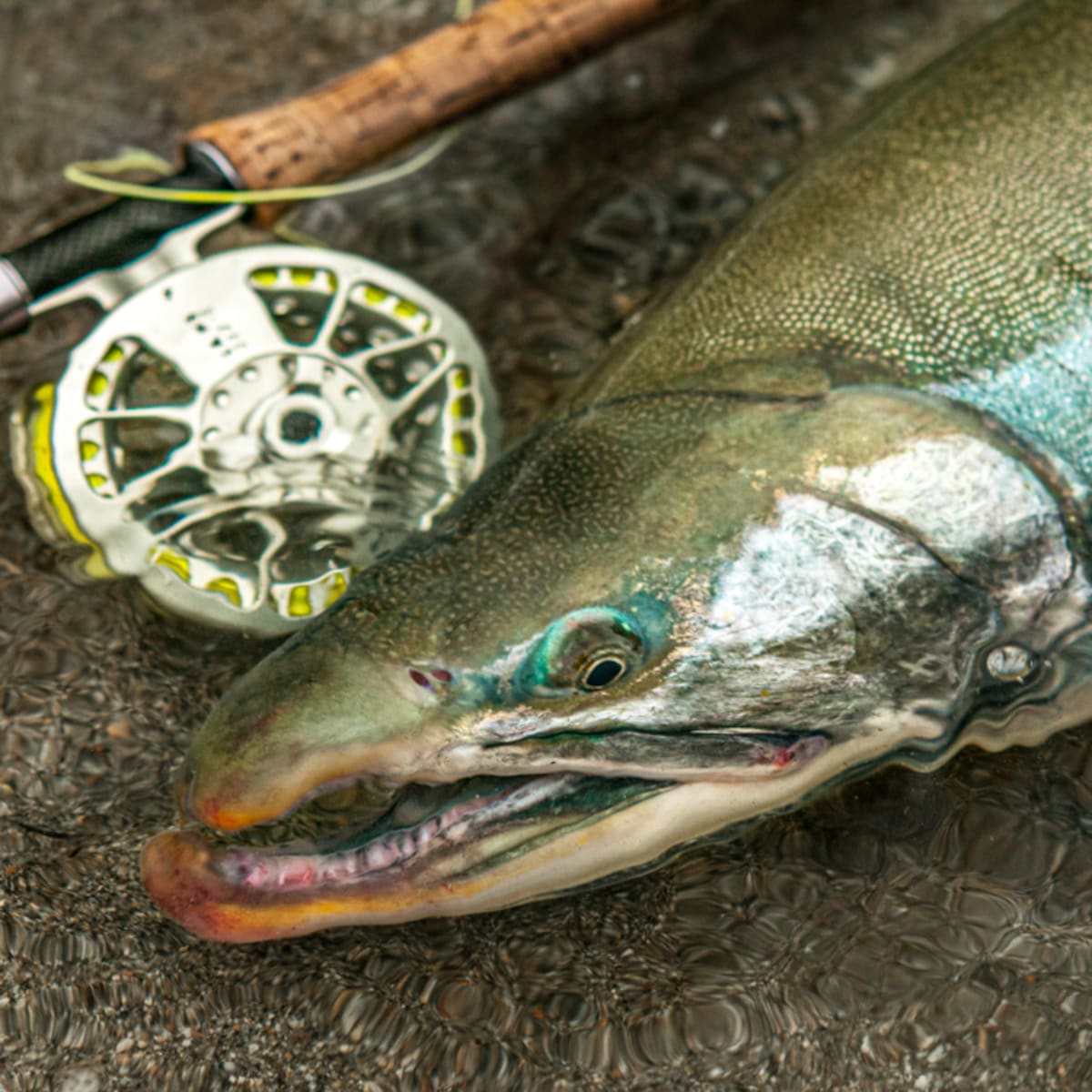 Fly Fishing Gear: A Simple Tool That Pays Big on Convenience