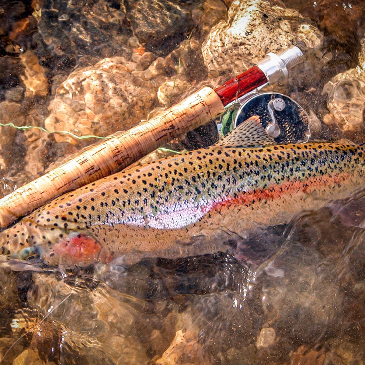 A Minimalist Mindset can Help Maximize Your Fly Fishing Skills - Men's  Journal