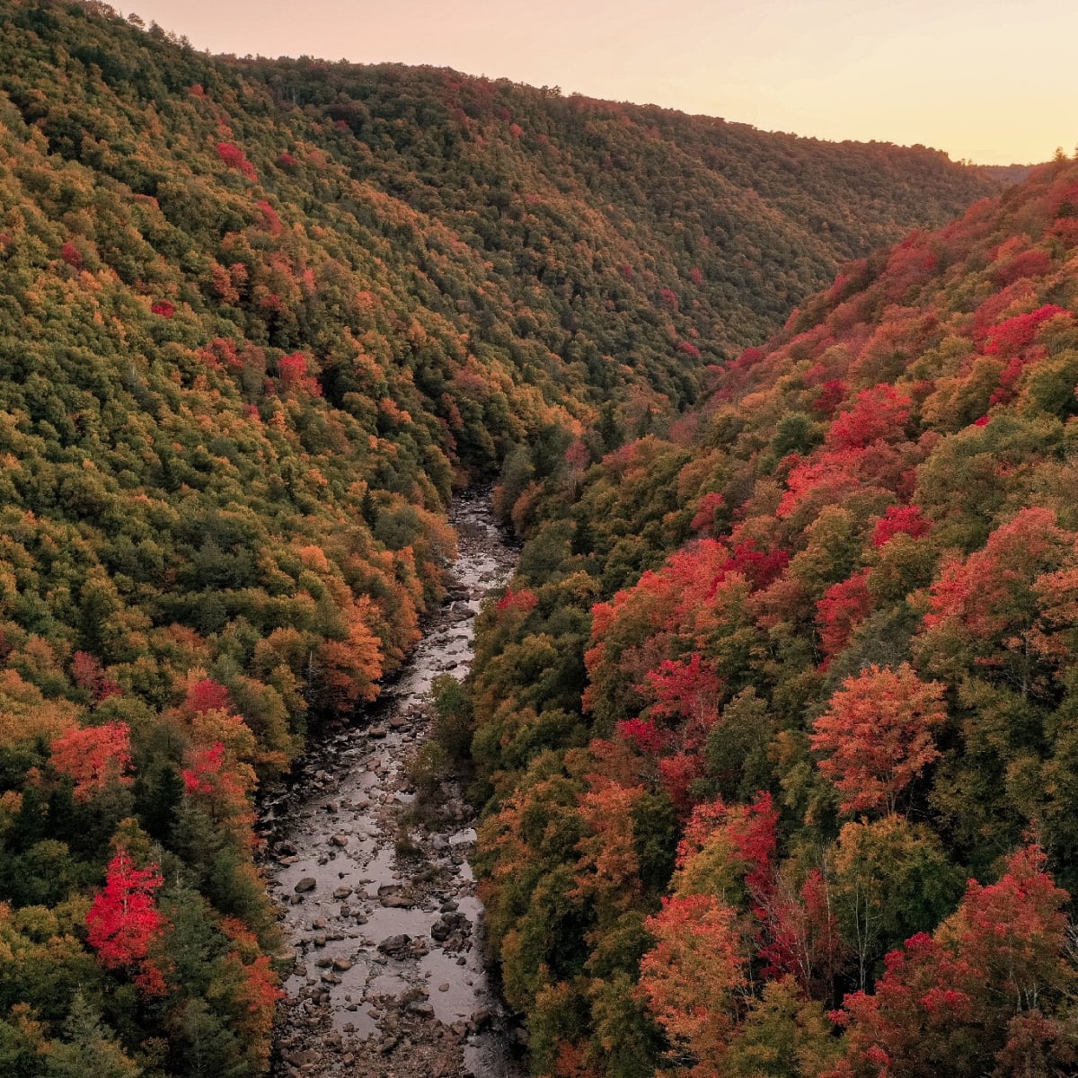 See Stunning Fall Foliage At West Virginia's Blackwater Falls State Park