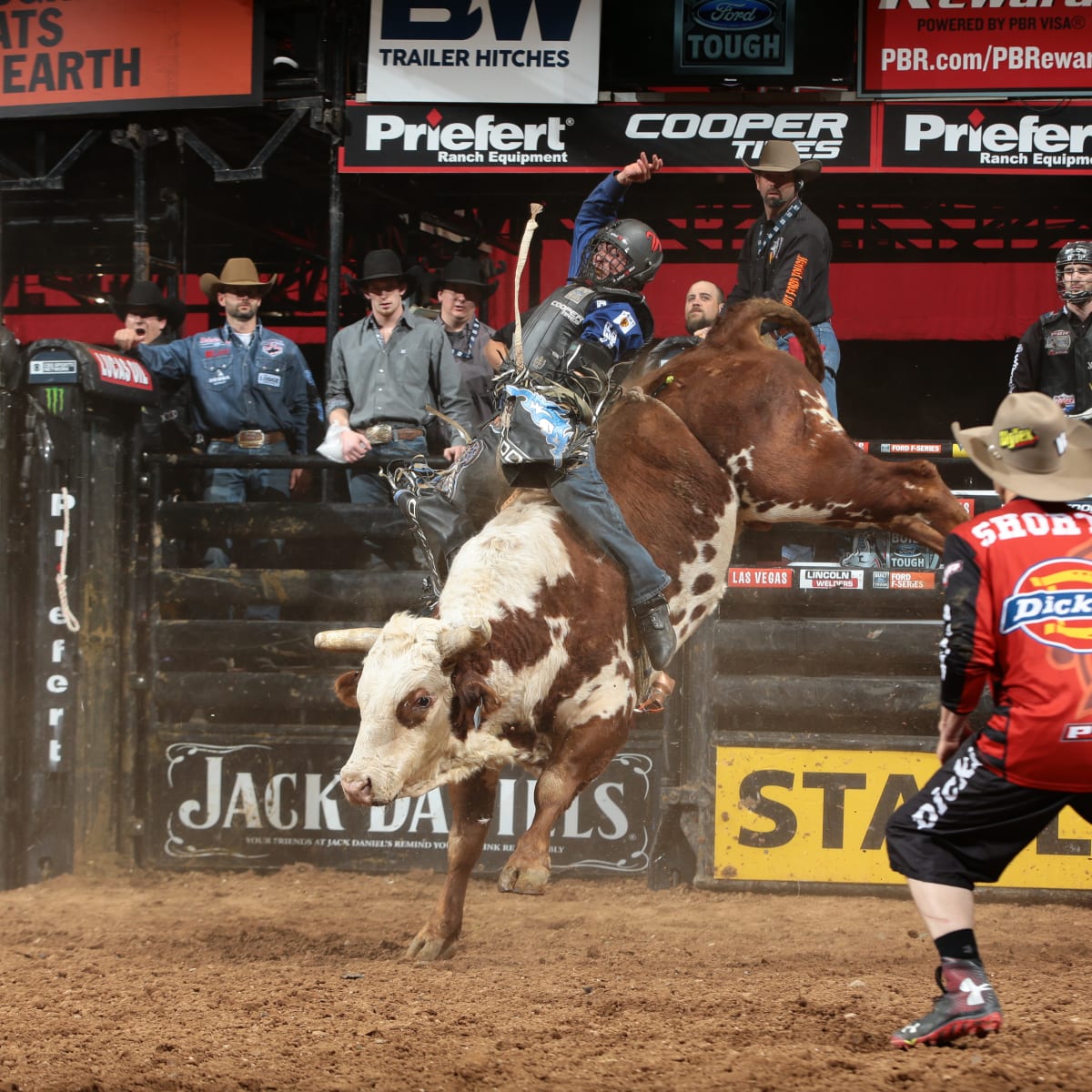 How to Train a Better Bucking Bull