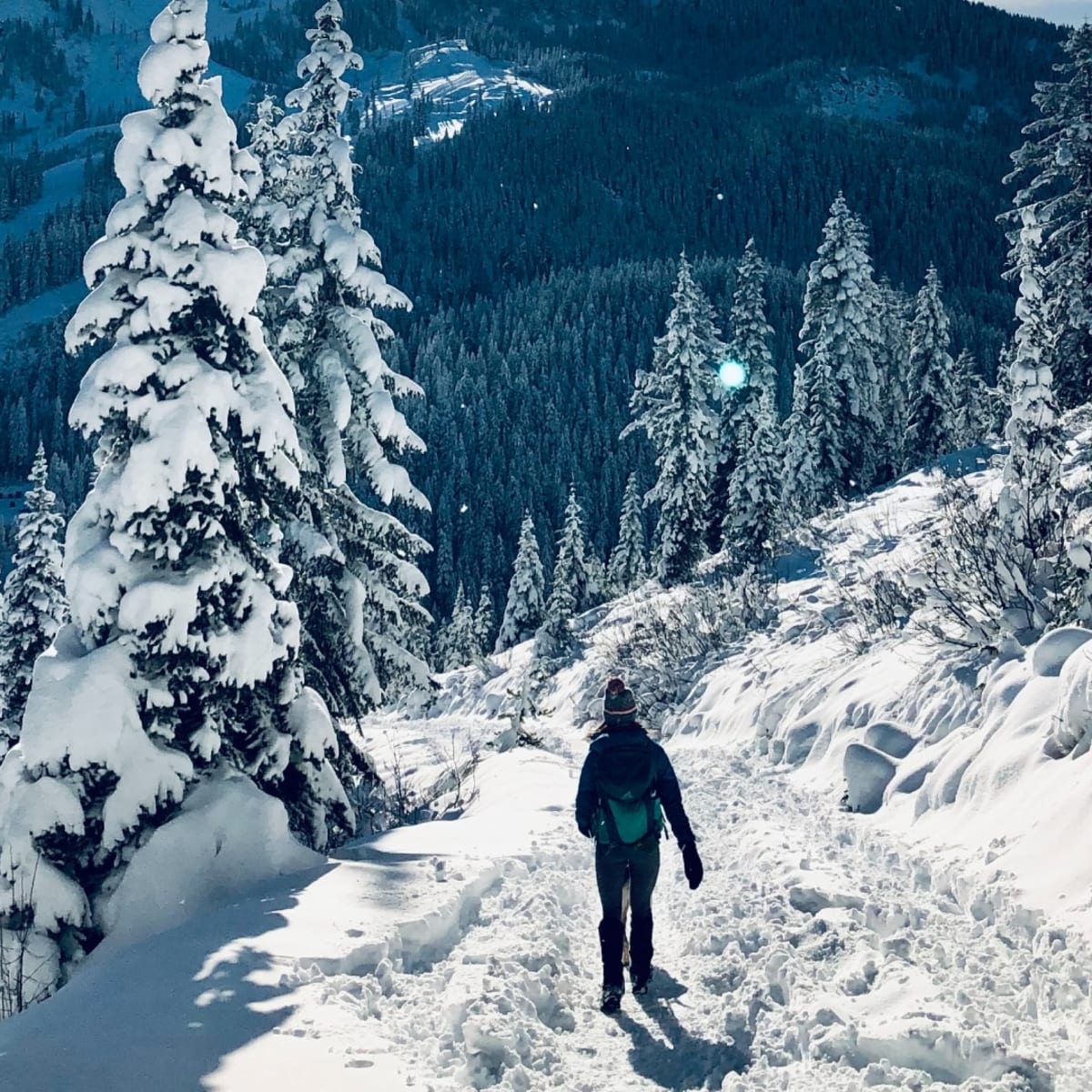 Top Winter Hiking Trails in the Canadian Rockies • Snowshoe Mag