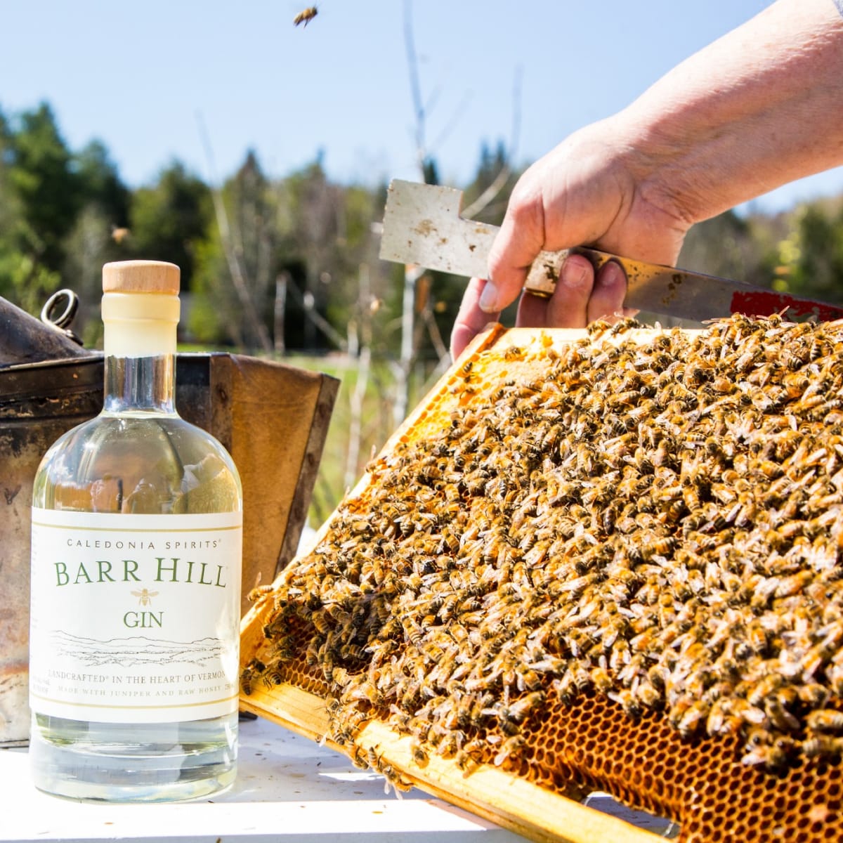 How Brewers and Distillers Are Helping Honeybees - Imbibe Magazine
