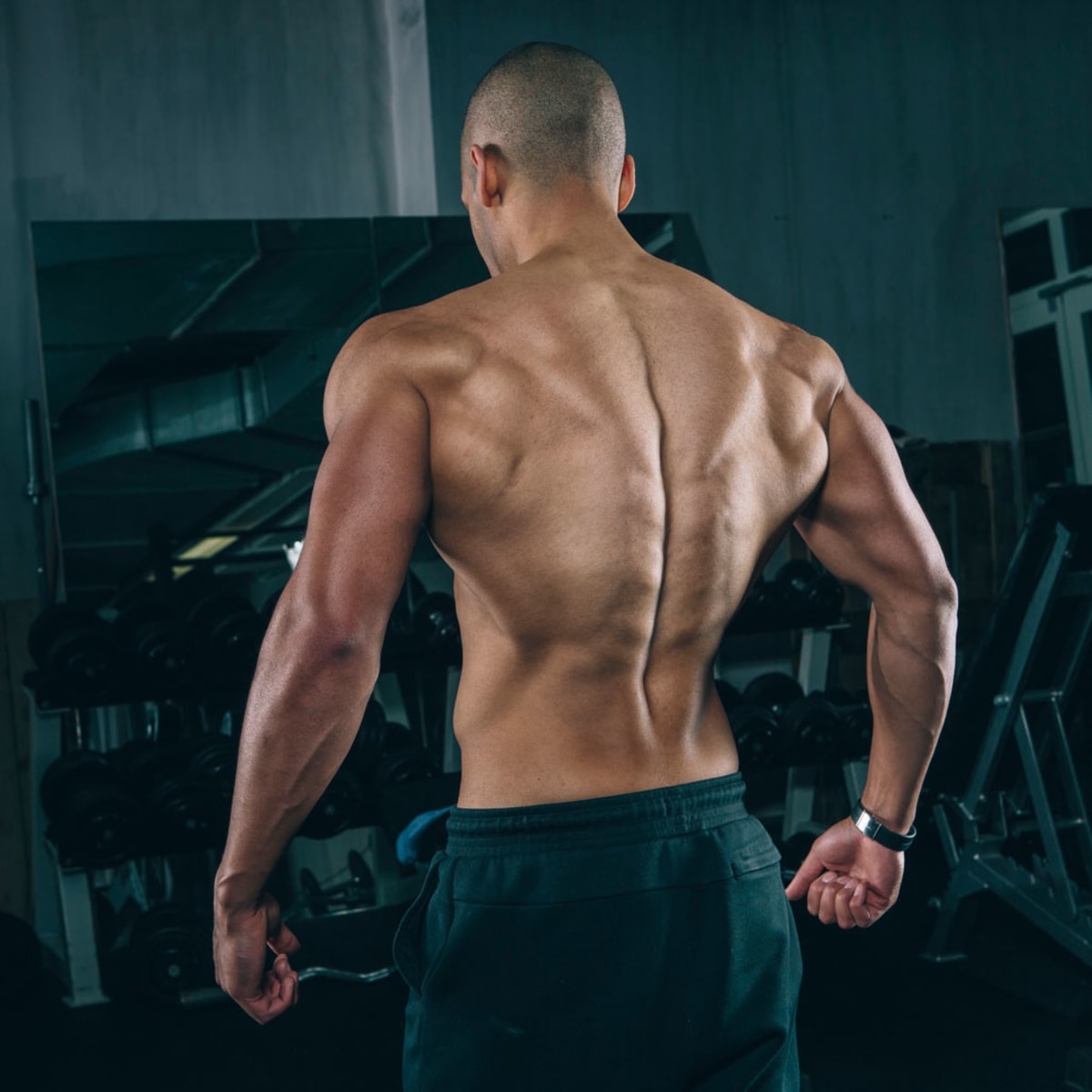 Shoulders Workout on Shoulder Day to Build Wider 3D Shoulder - 어깨운동