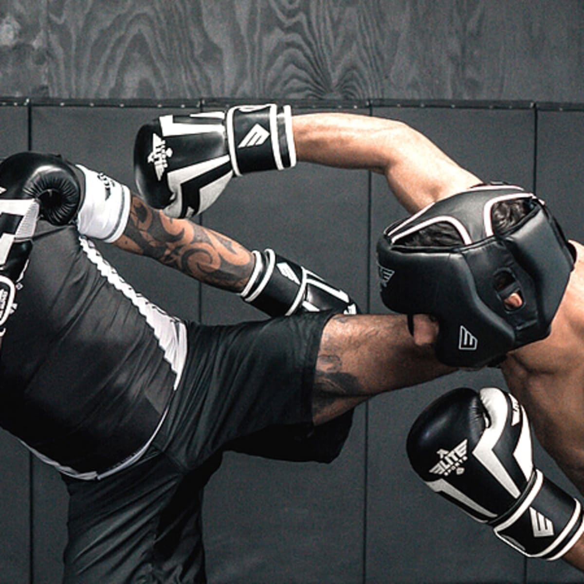 Best Competitive Fighting And MMA Training Gear At Elite, 55% OFF