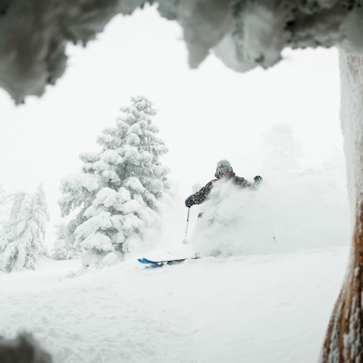 Skiing In The Shower: Man on Wire: A friendship that broke on that day