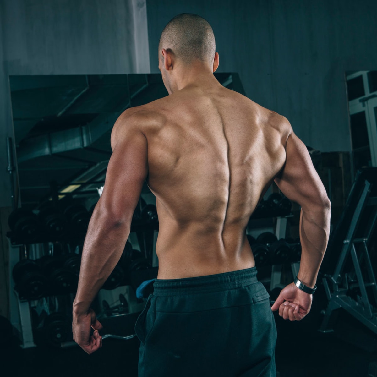 5 Worst Things to Do to Build Bigger Shoulders - Muscle & Fitness