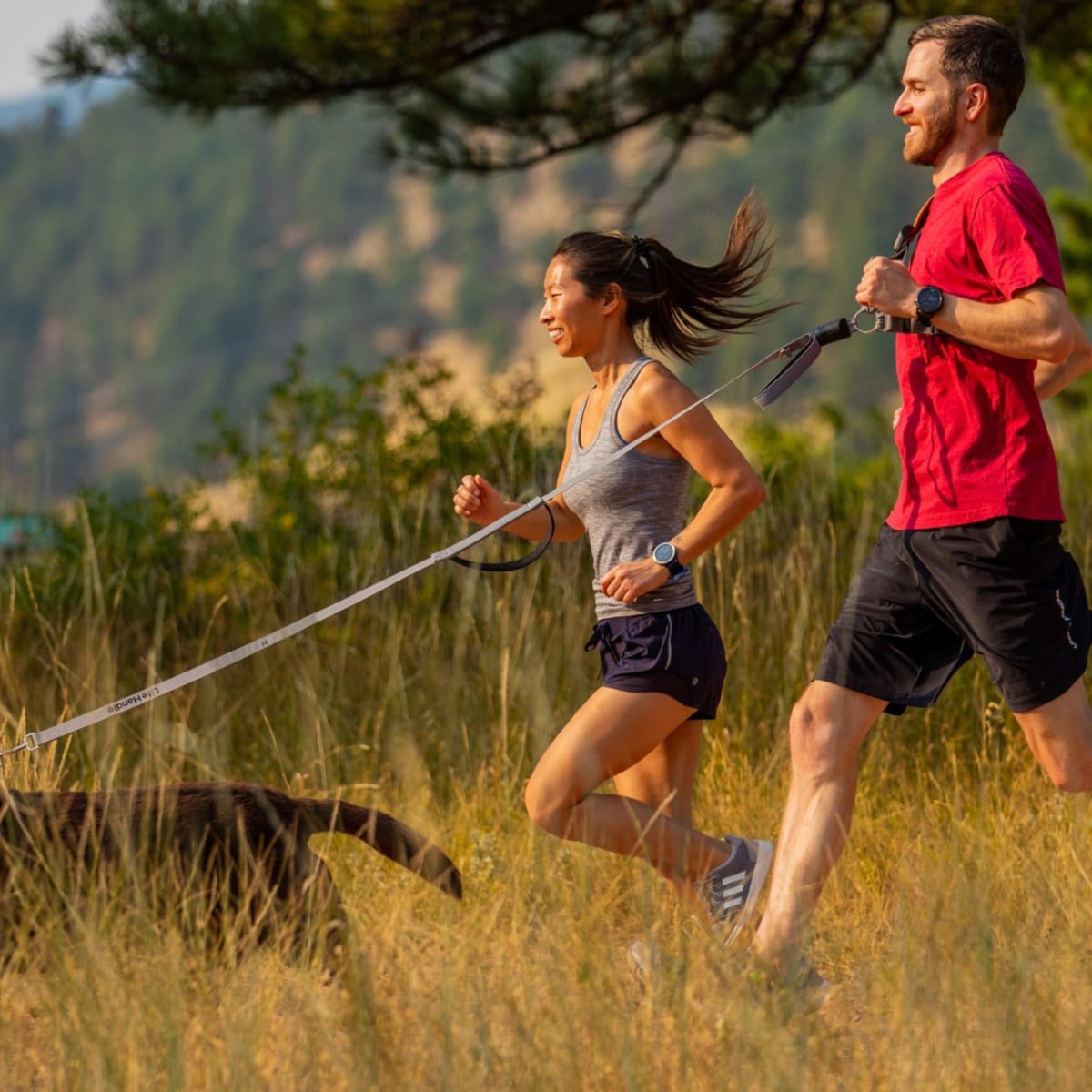 Essentials for Jogging with Your Dog - 1 Leash pulling