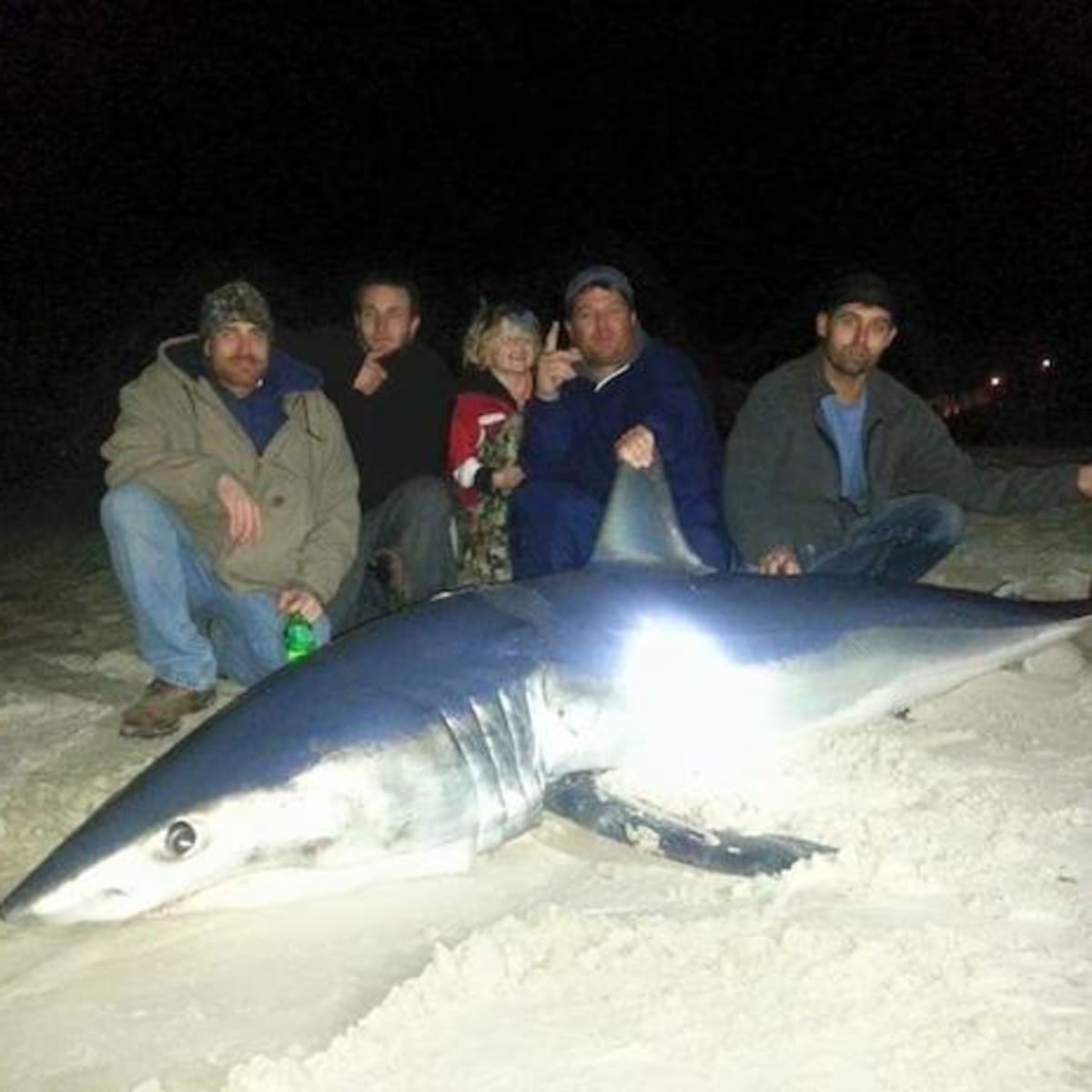 Mako Shark From the Beach!  By Gulf Coast Nation - Facebook