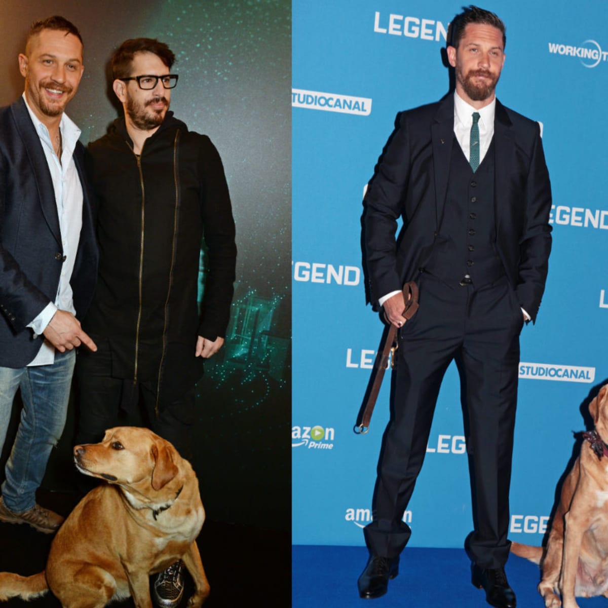 Tom Hardy Loves Dogs—See Photos of the Actor With His Furry Friends!