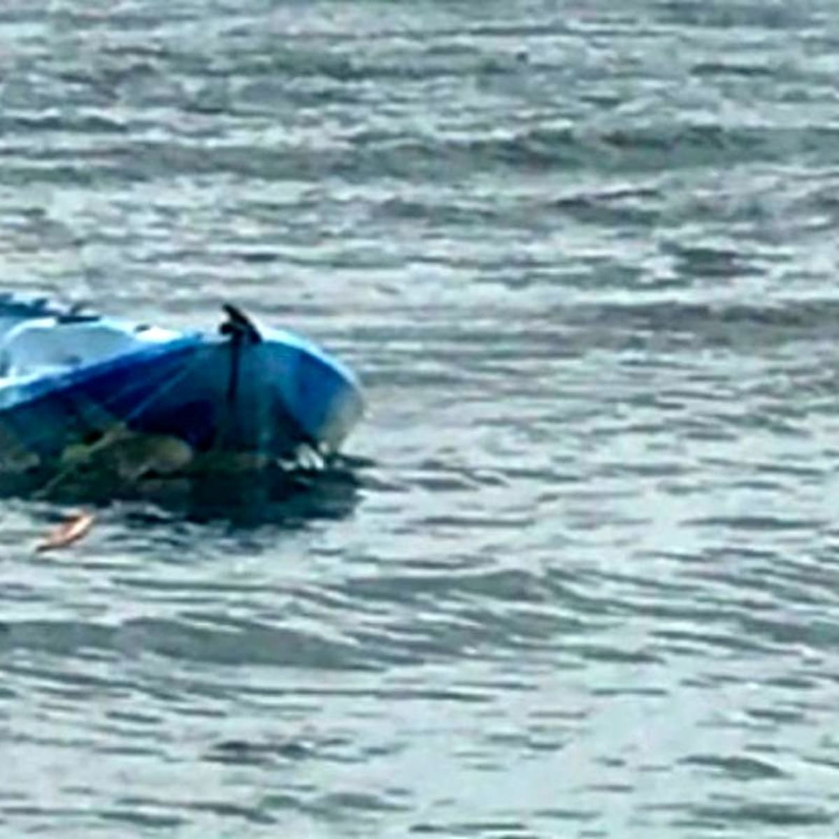 Shark knocks terrified 15-year-old girl out of her kayak in