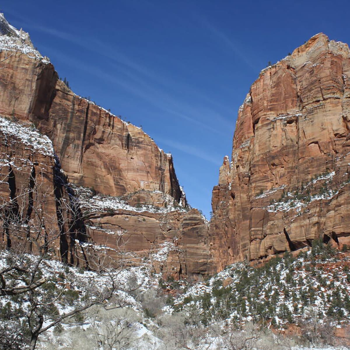 https://www.mensjournal.com/.image/ar_1:1%2Cc_fill%2Ccs_srgb%2Cfl_progressive%2Cq_auto:good%2Cw_1200/MjAyODg3OTI5OTE4Mzk5NTAw/us-news-utah-zion-park-tourists-1-lv.jpg