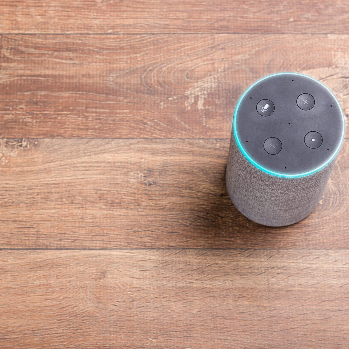 could launch Alexa Plus this year - but it's likely to cost