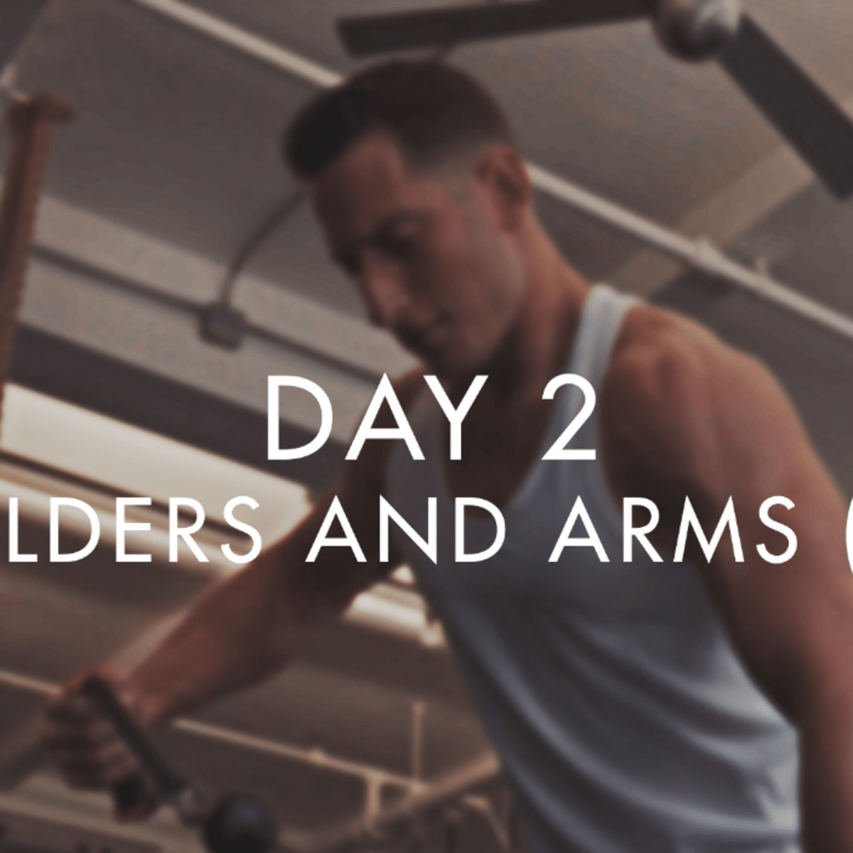 shoulder day in 2022  Shoulder workout, Arm workout, Abs workout