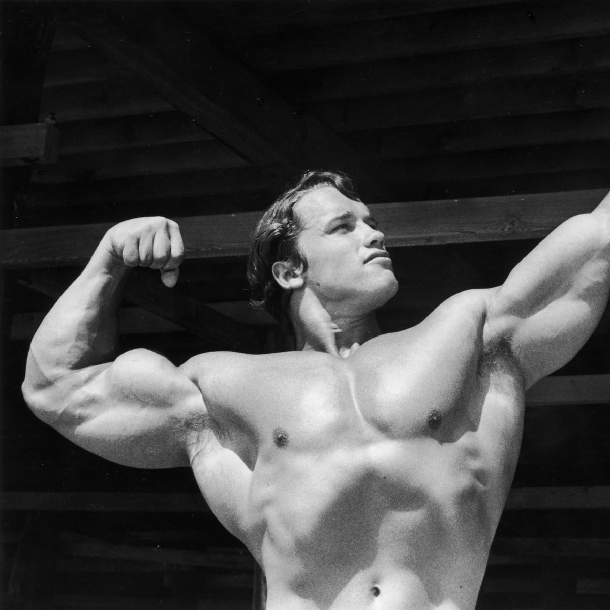 Schwarzenegger cheap shoulder workout