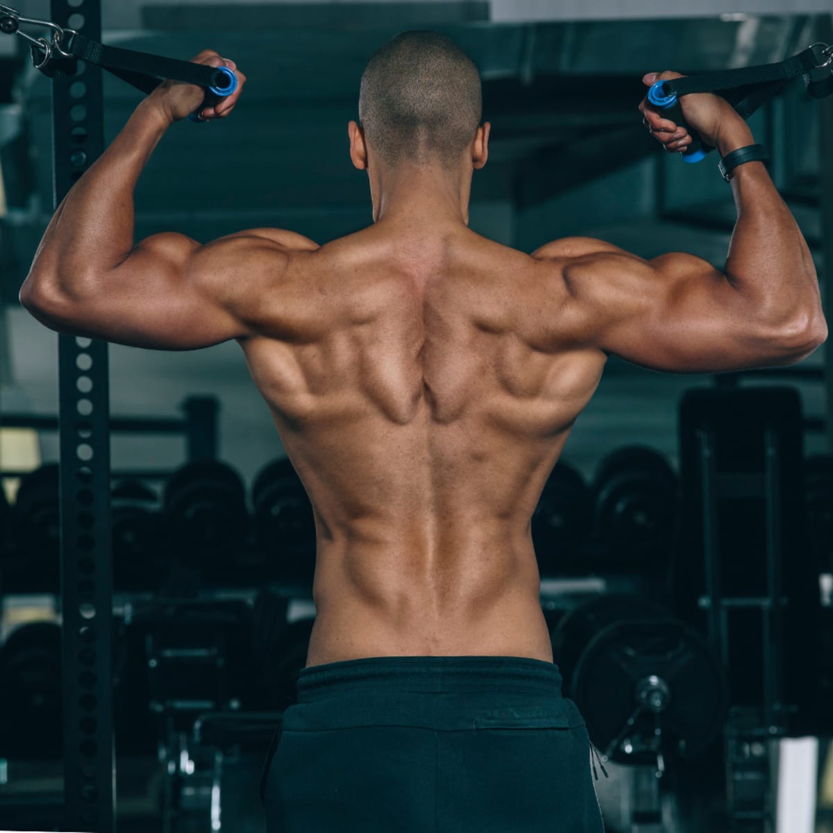 Best exercises cheap for big lats