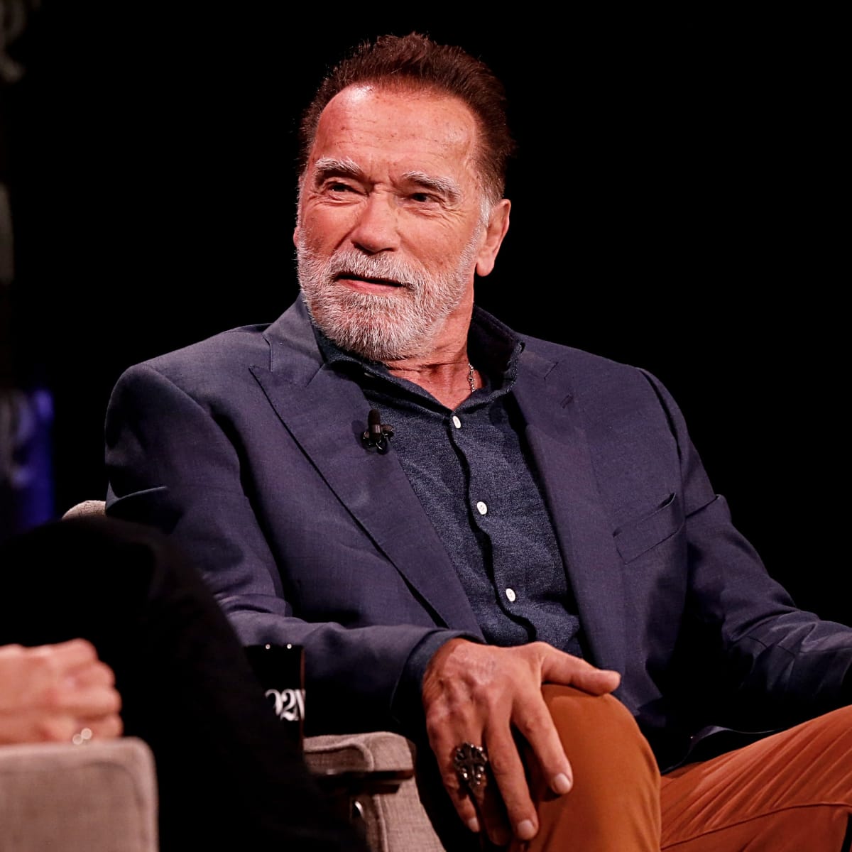 Arnold Schwarzenegger Detained at Munich Airport Over Luxury