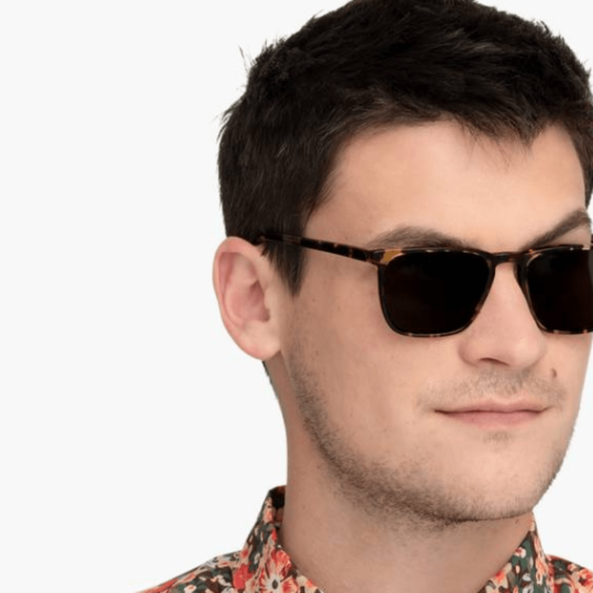 Warby parker best sale sutton sunglasses