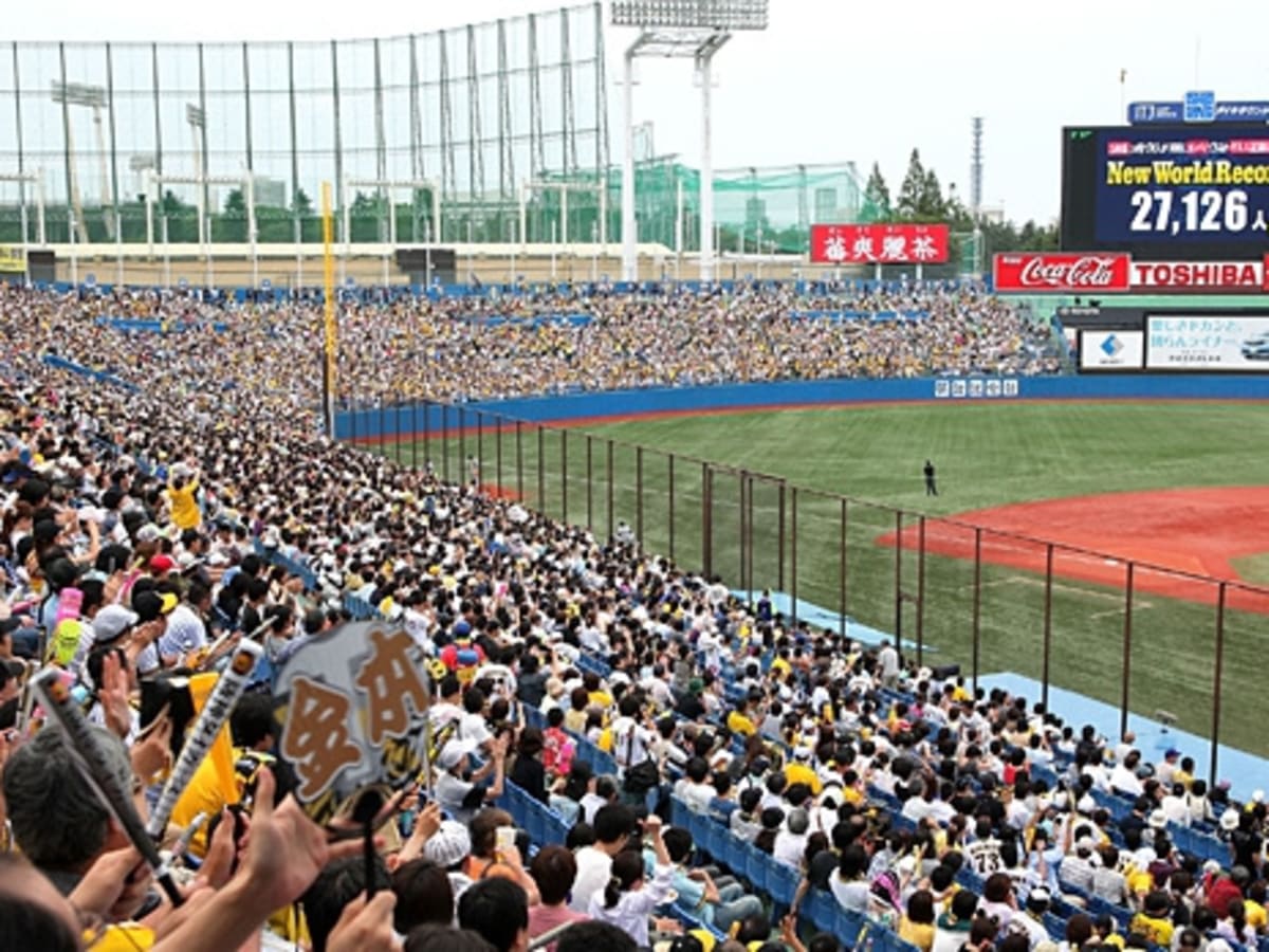 Swallows vs. Tigers  Meiji Jingu Stadium Vlog 