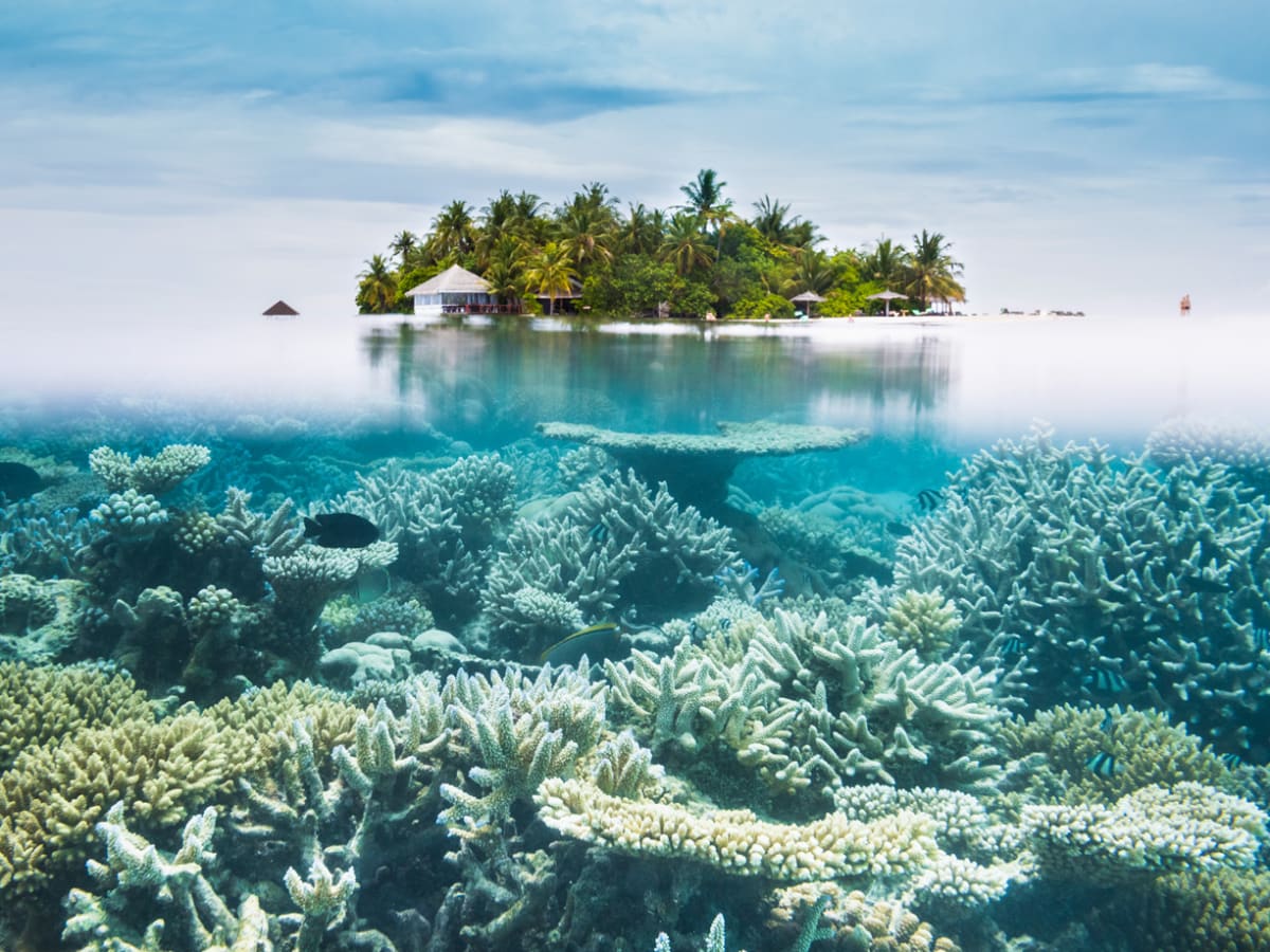 World's second deepest blue hole of 900 ft discovered in Mexico!, Mexico -  Times of India Travel