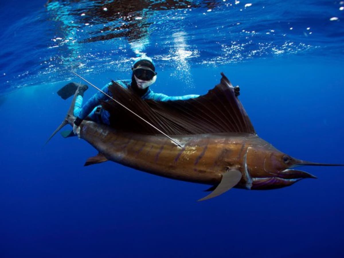 Spearfishing - What Is It and How Do I Get Started?