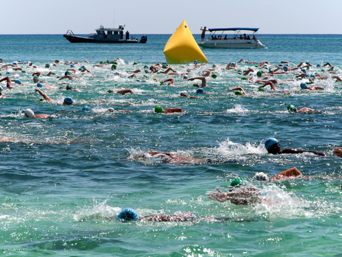 Diary of an open water swimmer - Wild about swimming and Great