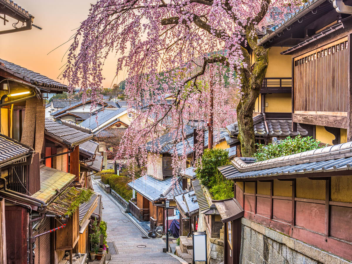 Kyoto: One Perfect Walk