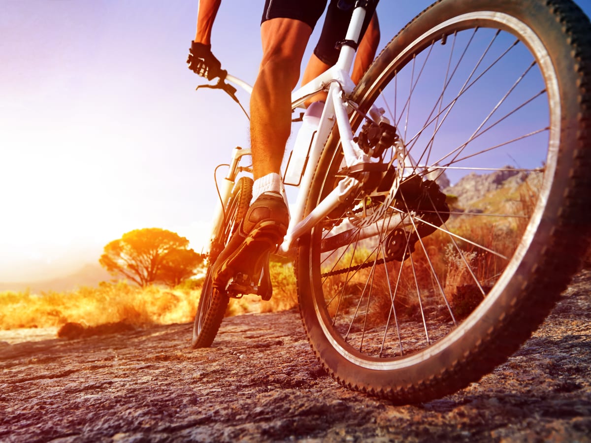 Huisje commentaar Weg 11 Excellent Affordable Mountain Bikes To Suit Your Budget - Men's Journal