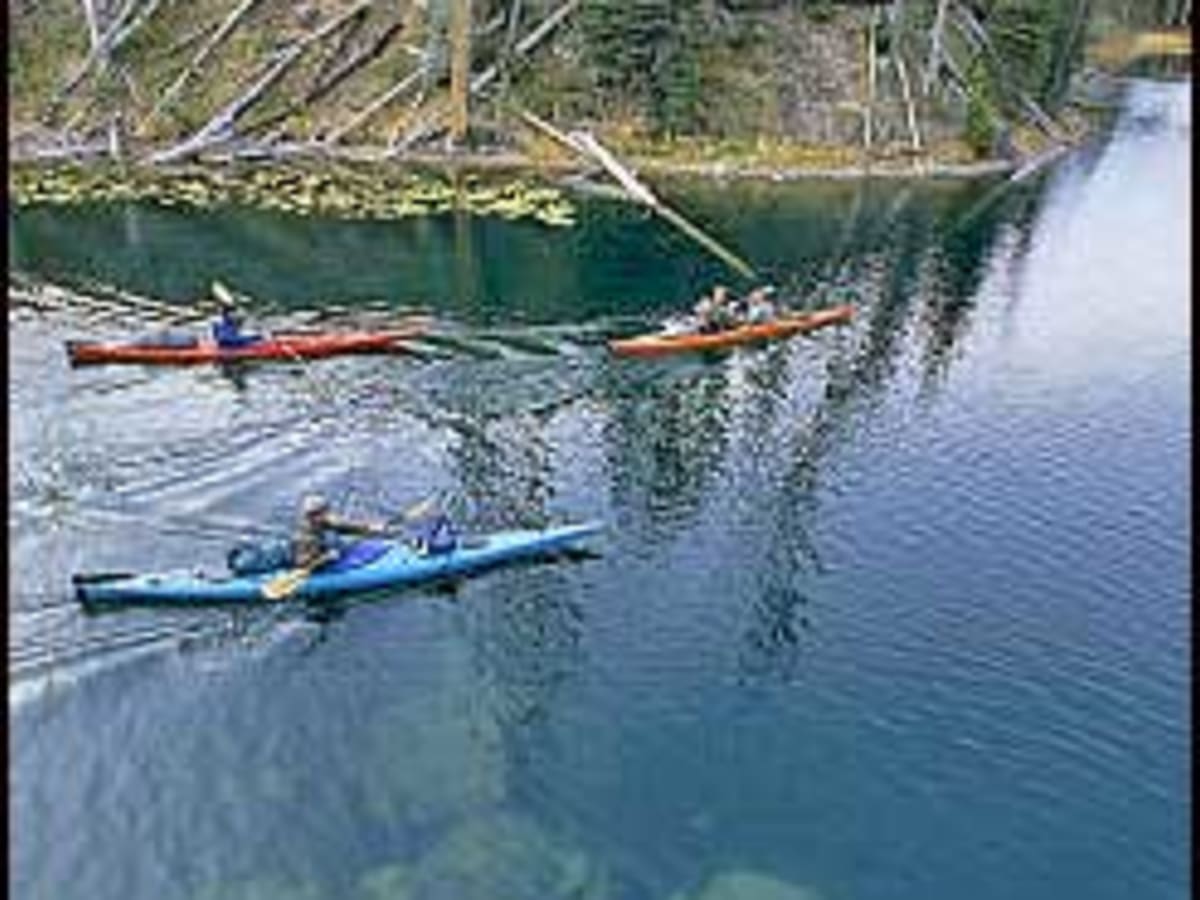 Master the Waters with the Yellowstone II Fly Rod by Jackson Hole