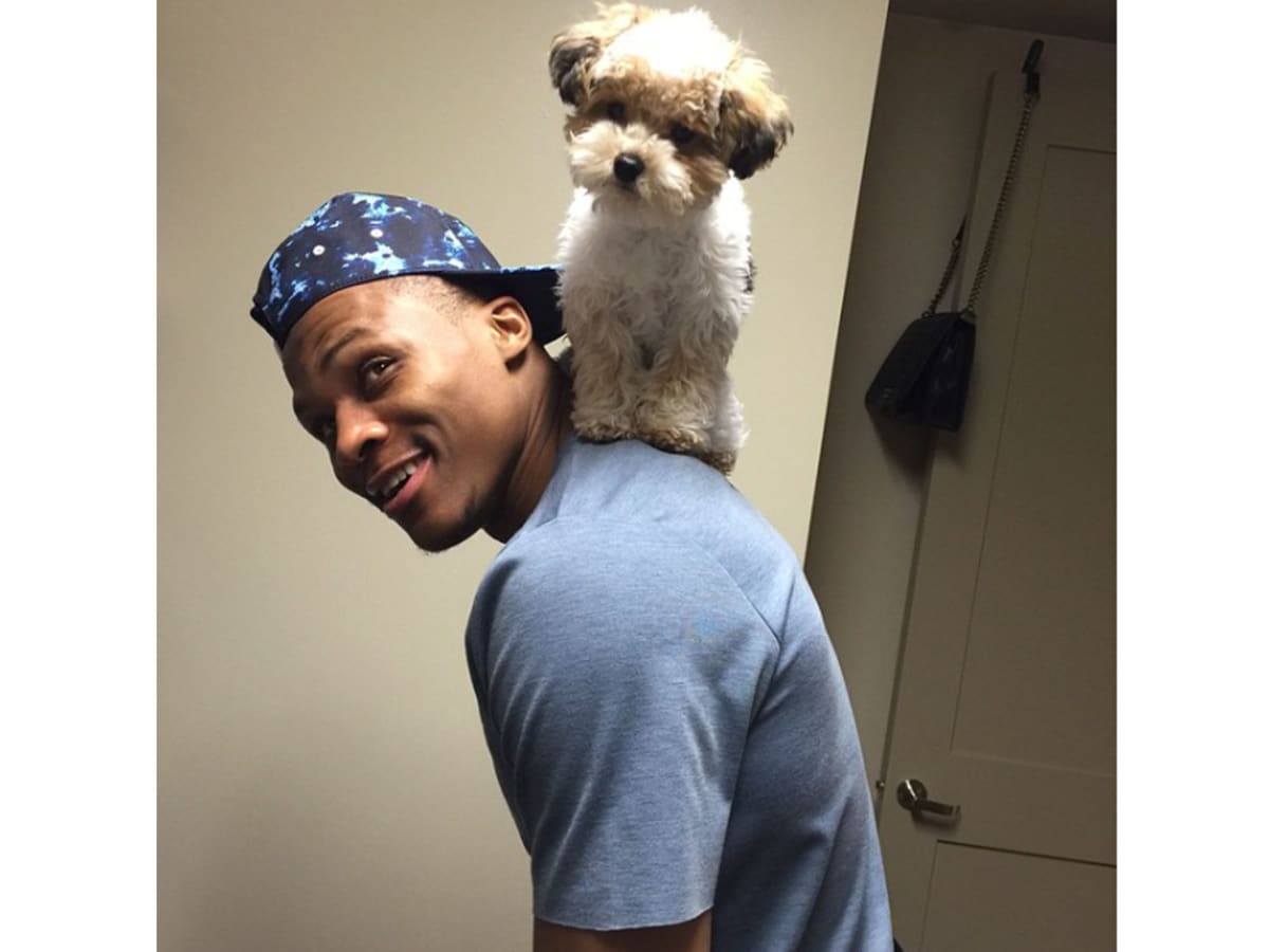 Houston's pro athletes and their adorable dogs