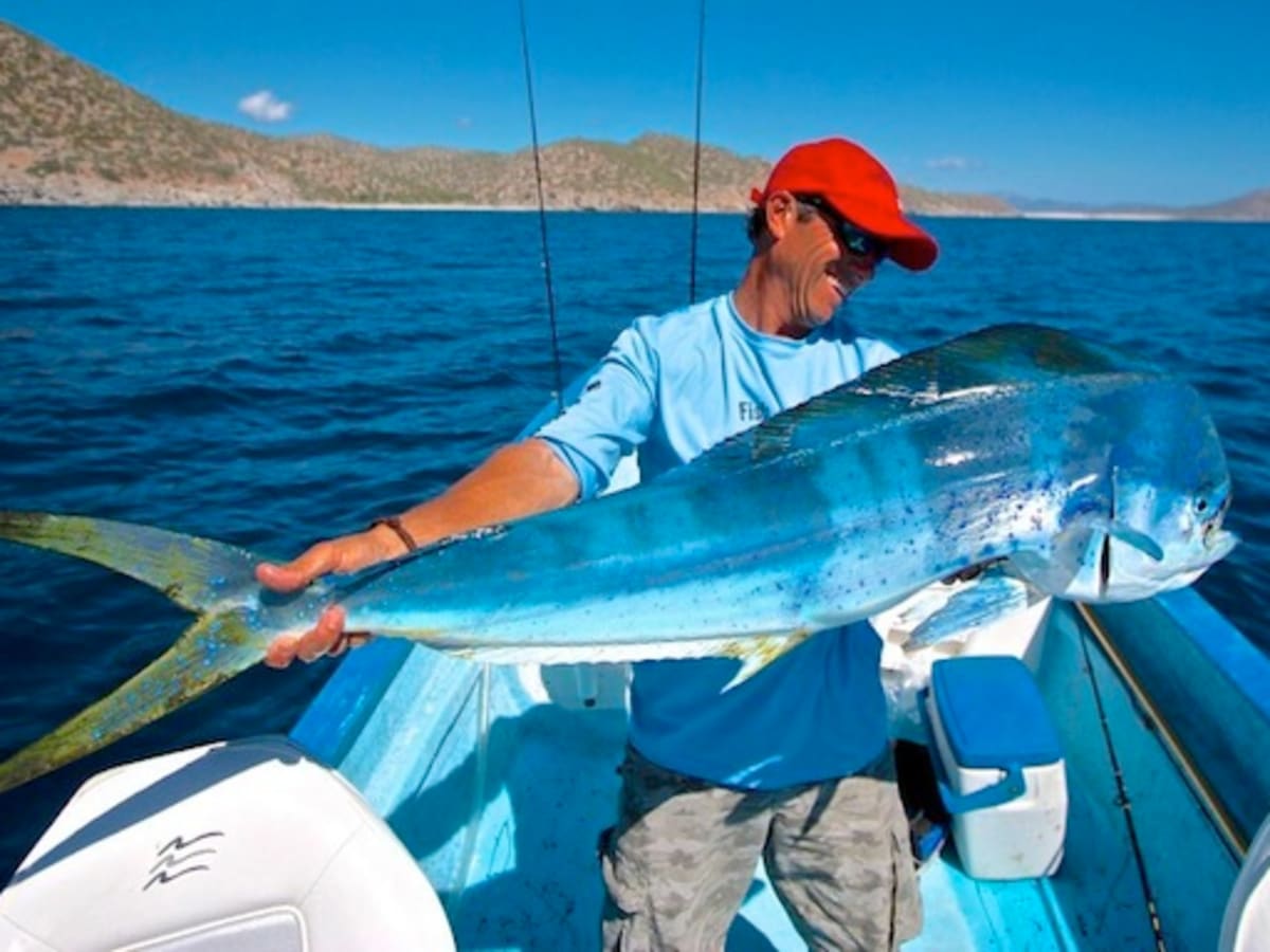 Late-Season Bluefish - Game On! LLC