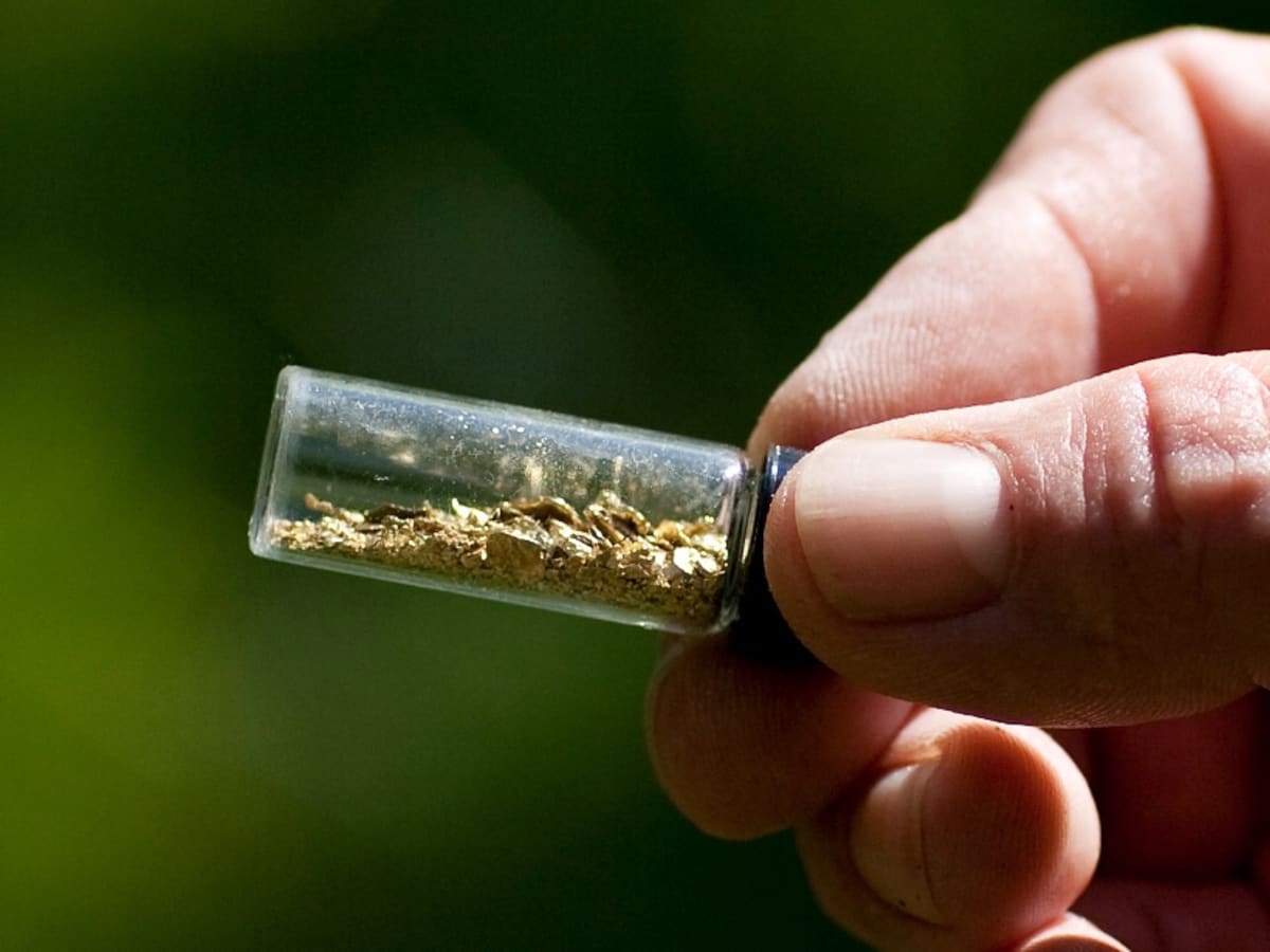 California Gold Panning - Home