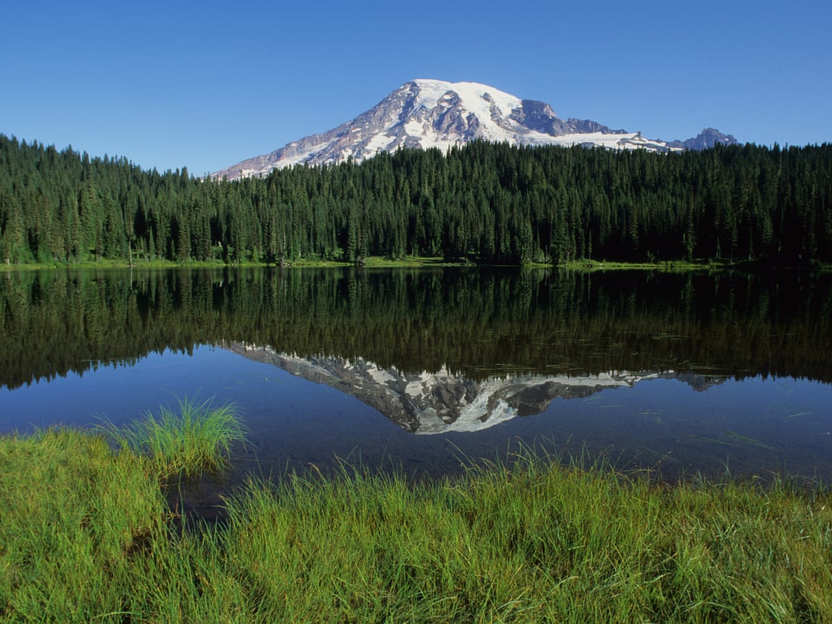 Plan Your Visit - Mount Rainier National Park (U.S. National Park Service)