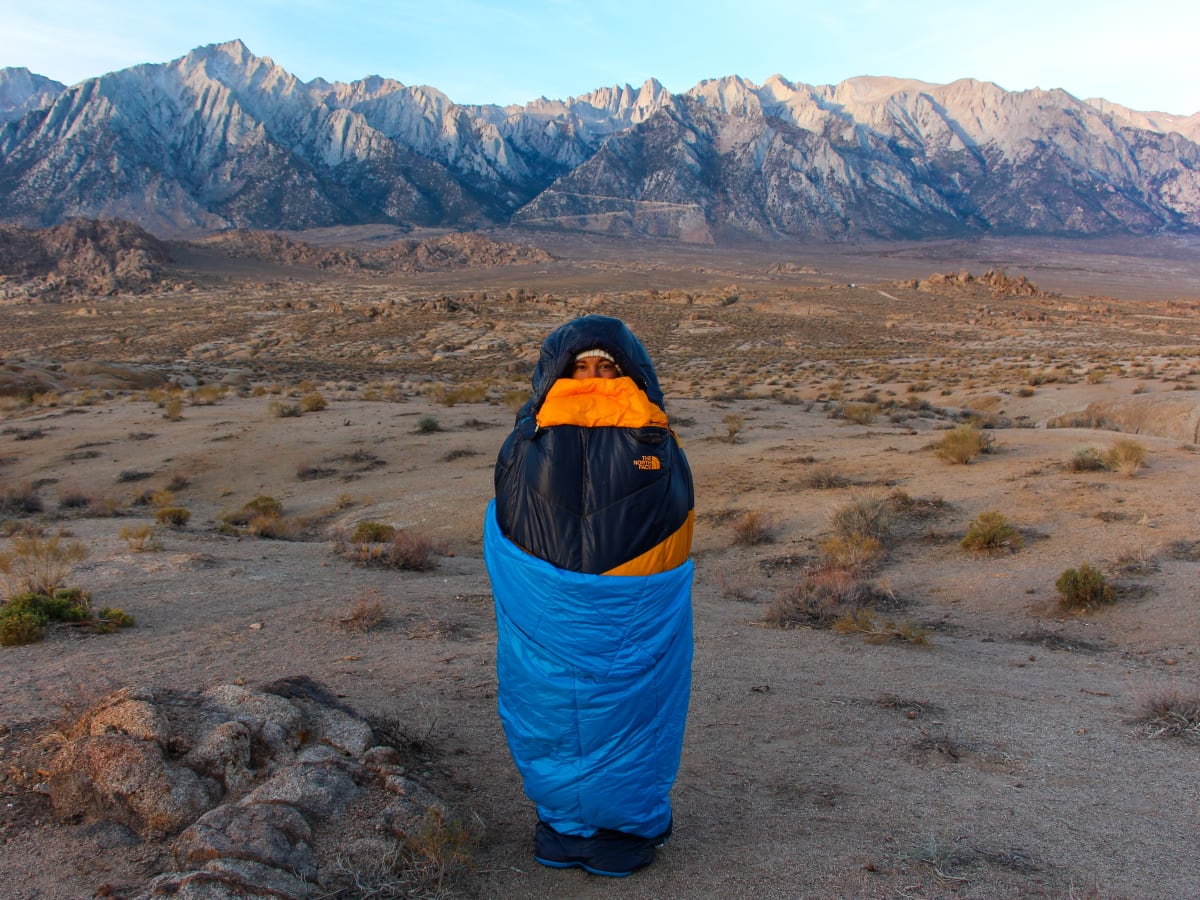 The north face sale the one sleeping bag