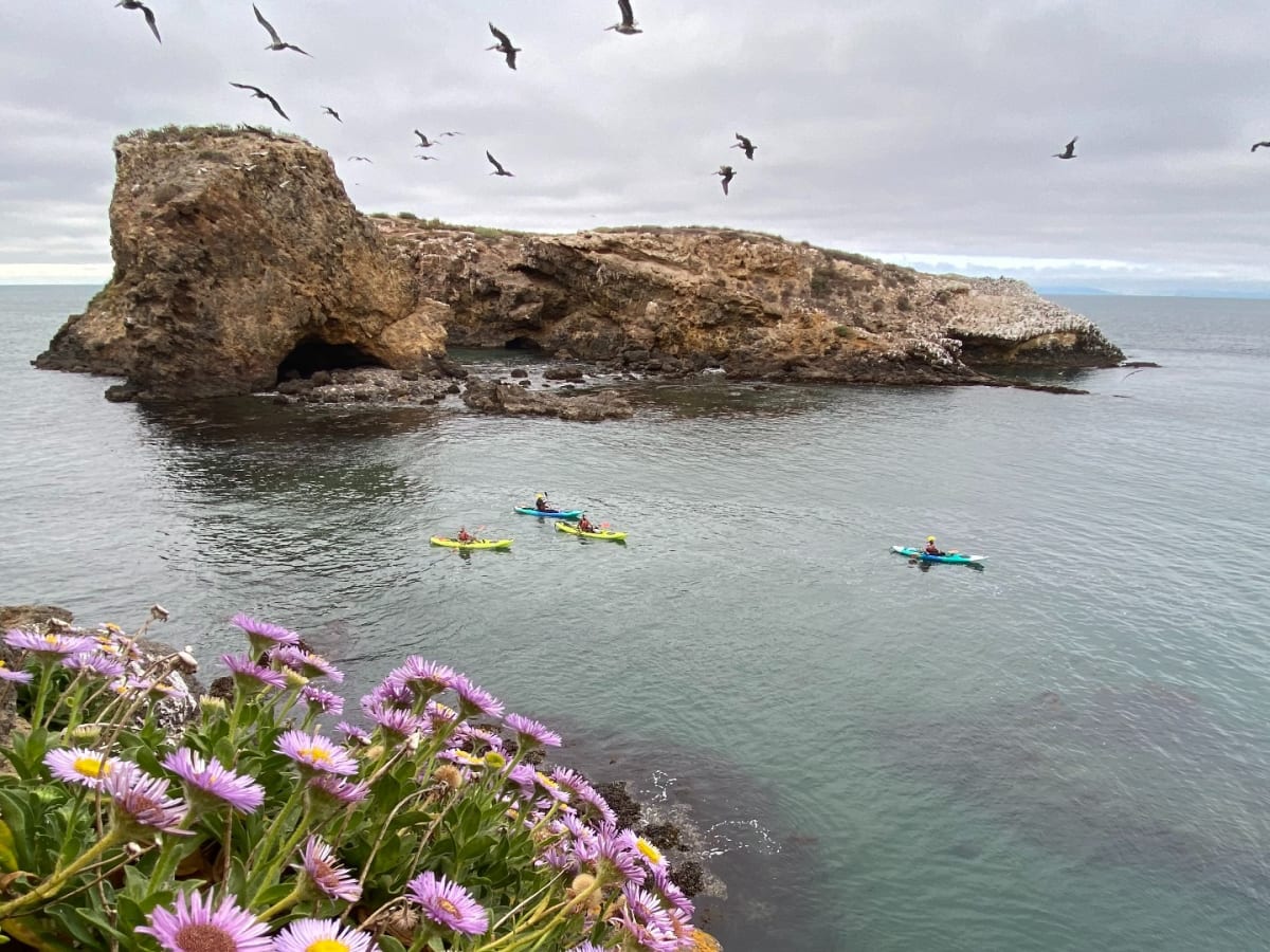 A Kayaker s Guide to Channel Islands National Park Men s Journal