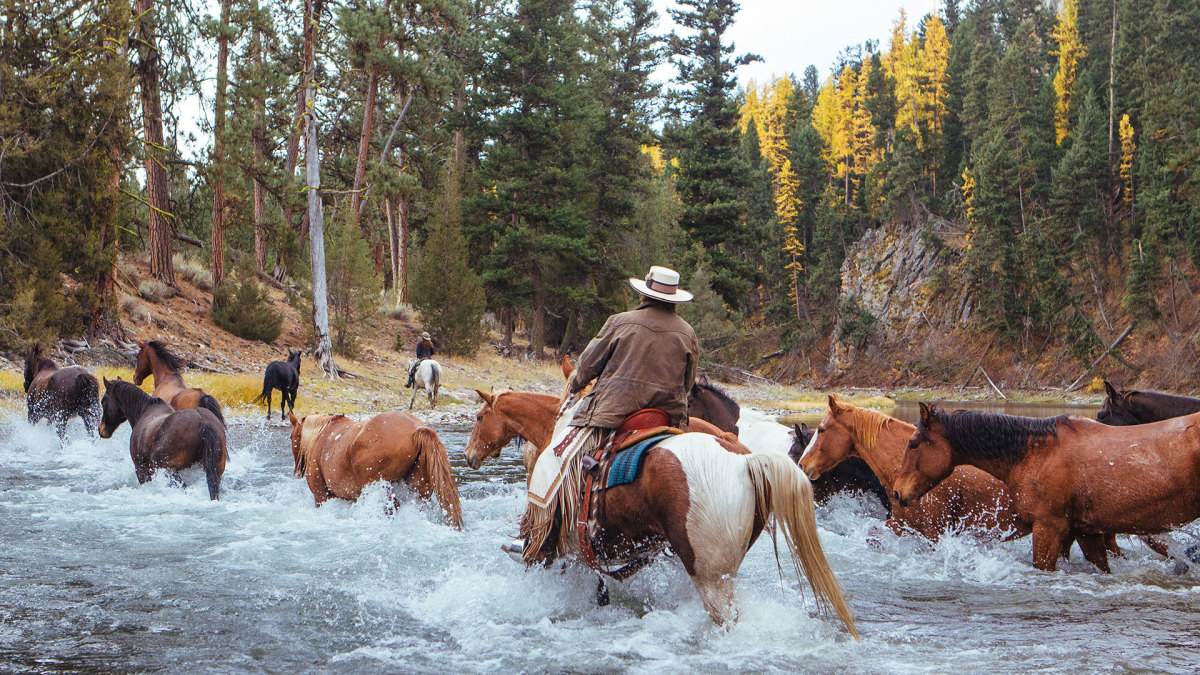 I Lived Like a Dutton at the Best Montana Dude Ranch for 'Yellowstone' Fans