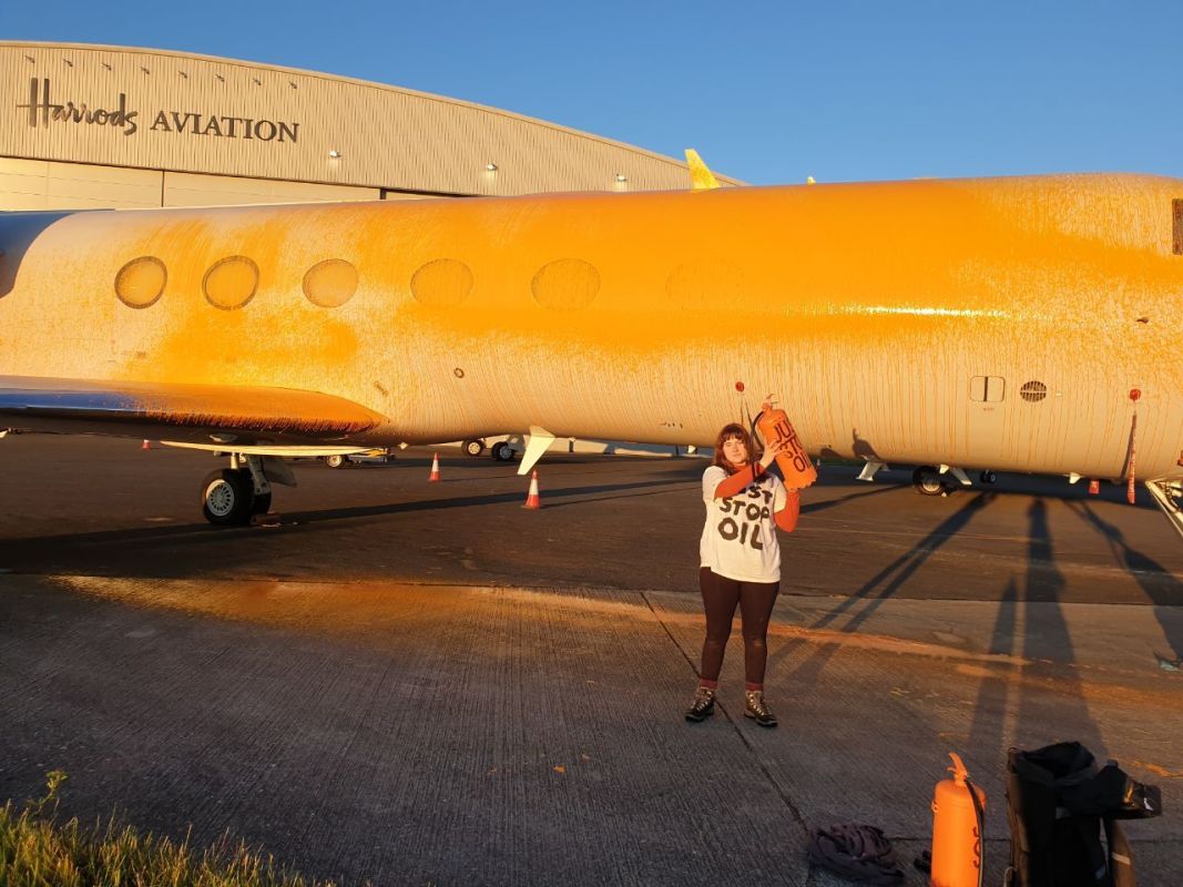 Activists Arrested After Trying to Cover Taylor Swift's Jet in Paint