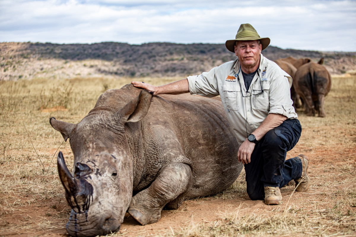Why Scientists Are Injecting Rhinos With Radioactive Material